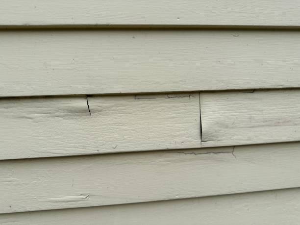 Best Insulated Siding Installation  in Lam, AR